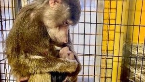 ВЫ ПОСМОТРИТЕ! Мама Лида ГЛАДИТ малышку Анфису и так НЕЖНО на нее смотрит