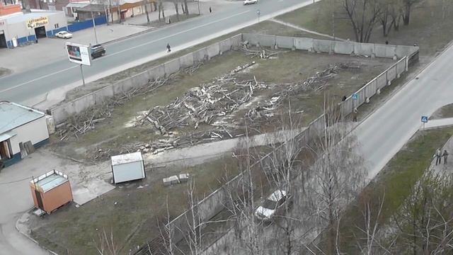 незаконная срубка деревьев на Автокомбинате.MTS смотреть онлайн