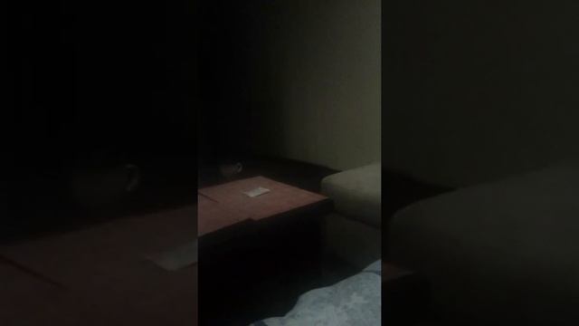 нарисовала ОС, 16+(есть маты) смотреть онлайн