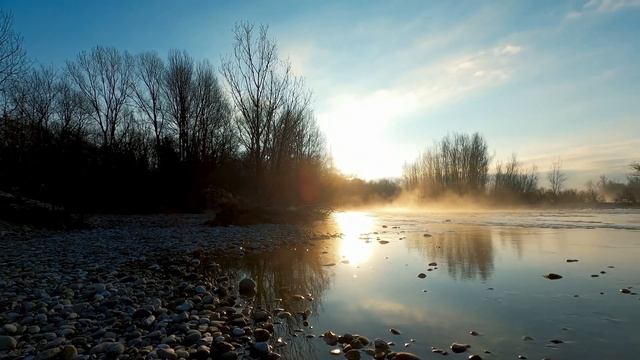 RAF. Records - Bored (Angelina Mango Eurovision 2024 song translated edit) смотреть онлайн