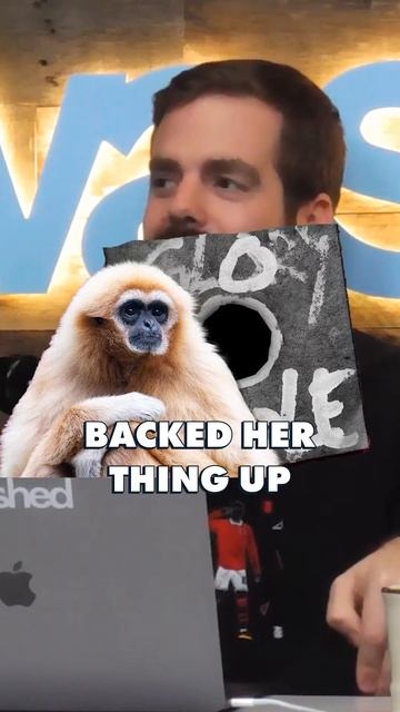 This Gibbon Got Caught Red Handed #podcast #comedy #animals #zoo #monkey #gibbon #japan #clips #cli