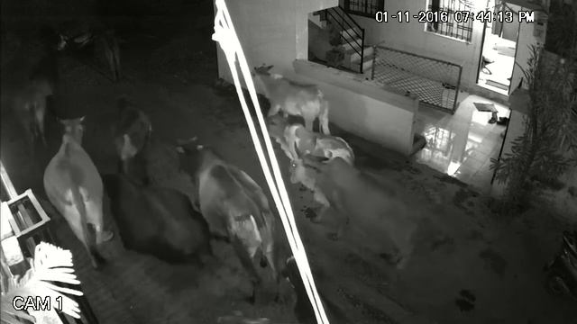 gau matewar atyachar смотреть онлайн