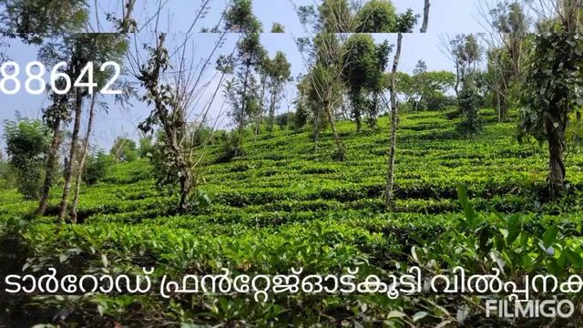 #vythirirealwayanad8281488642  in Wayanad 2 Acre Land in 80 metre Tar Road Frontage.Rs.25 Lakh/Acre