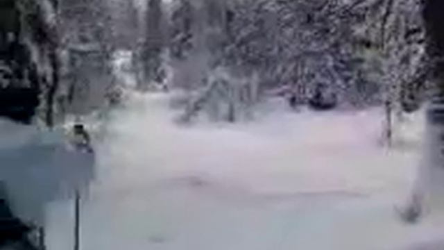 hunting ptarmigan in deep snow смотреть онлайн