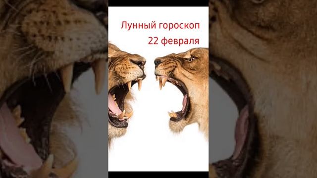 лунный гороскоп на 22 февраля #астропрогноз #рекомендация #подписка #хорошеенастроение смотреть онлайн