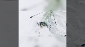 Очередной выезд на хапуги, щука на котлеты! Рыбка есть!