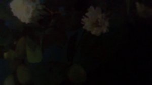 Сказочная  тайга(Облака в небо спрятались, звезды пьяные смотрят вниз(наброски)