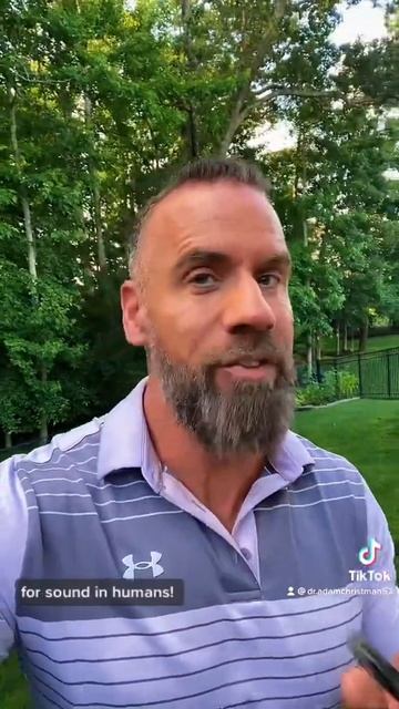 Dogs and Loud Noises смотреть онлайн