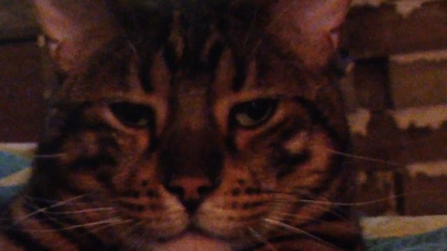 4 октября 2015 г. смотреть онлайн