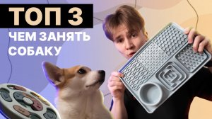 Топ 3 чем занять собаку