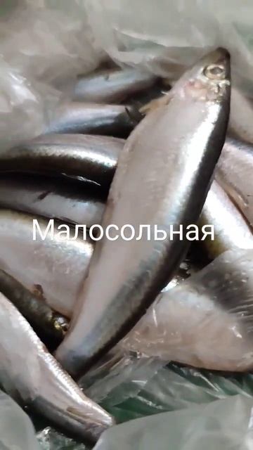 У нас 260.р Ставрополь. смотреть онлайн