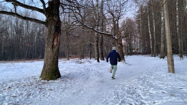 Ежедневная беговая тренировка в лесу || Подготовка к Казанскому марафону 2025 :)