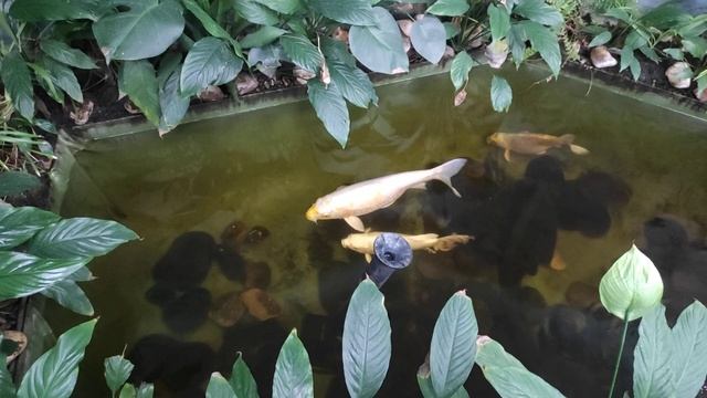 И такое можно встретить в зоомагазине смотреть онлайн