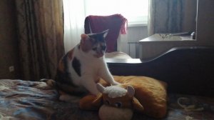 Молочный шаг