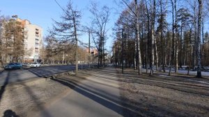 Парк Сосновка, Санкт_Петербург