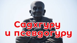 014. Садхгуру и псевдогуру / просветление самопознание медитация (Роберт Адамс)