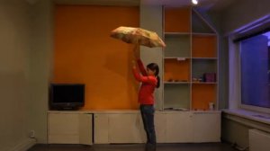 Пиксиляция