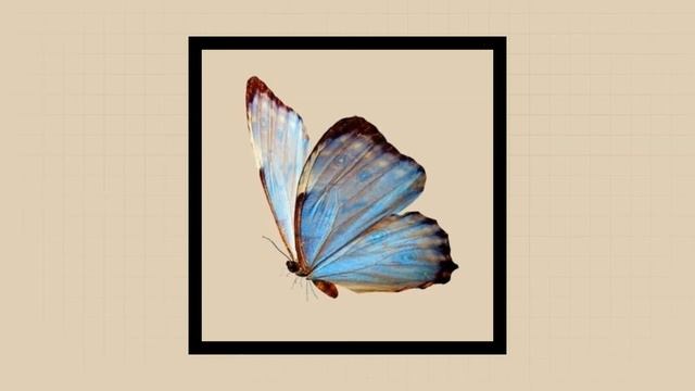 FREE The Kid Laroi x Lil Mosey Type Beat Shine  Emotional Melodic Beat 2020