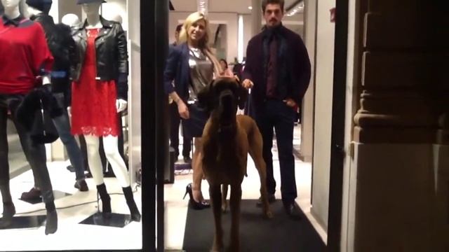 Nuova Collezione Autunno Inverno, Tru Trussardi , Viareggio смотреть онлайн