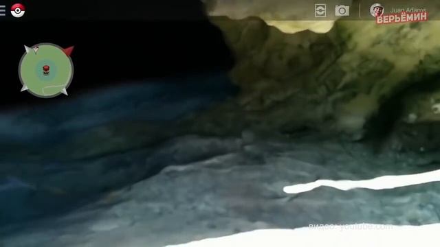 Pokemon GO смотреть онлайн