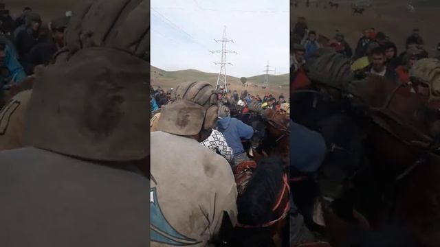 Рубин чемпион дар чавалай смотреть онлайн