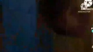 Побег от гризли (add round 5)