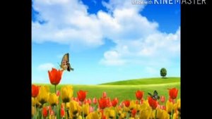 Хайирли тонг