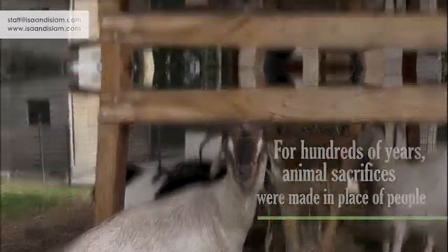 The Deeper Meaning of Eid al Adha смотреть онлайн