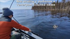Ловим форель беглянку на Ладожском озере. Рыбалка в Ленинградской области