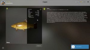 РР4 ФАРМ на Янтарке.