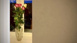 "Северный олень"М.Цветаева,Е. Фролова исп. С.Спесивцева.