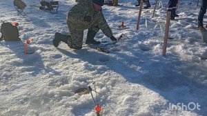 Мороз ❄️и солнце ☀️