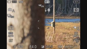 SONY FE 70-200mm F4 Macro G OSS Mark II Lens Review: This is a Close-Up Monster!