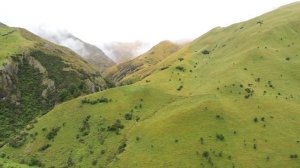 Нарындан жазган салам кат