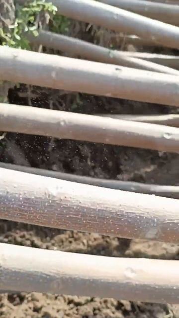 Россия Казахстан Астана Кыргызстан Узбекистане ☎️+99890-810-18-70 смотреть онлайн