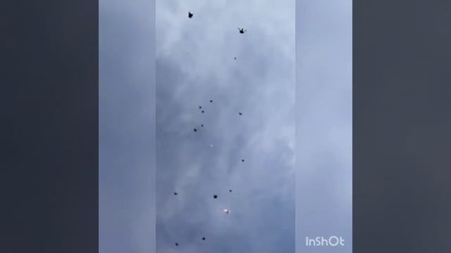 Голубедром. Кто, куда 30.11.22г. часть 1. смотреть онлайн