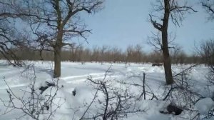 Вездеход Пионер 3М зима  Продолжение