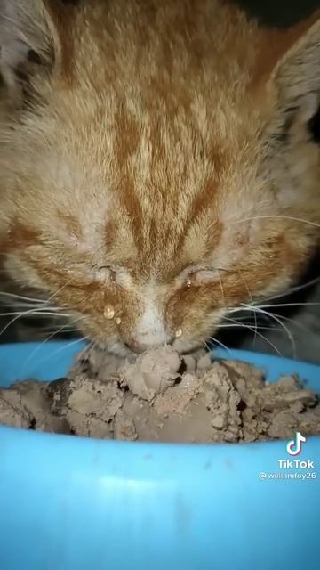 8 травня 2022 р. смотреть онлайн