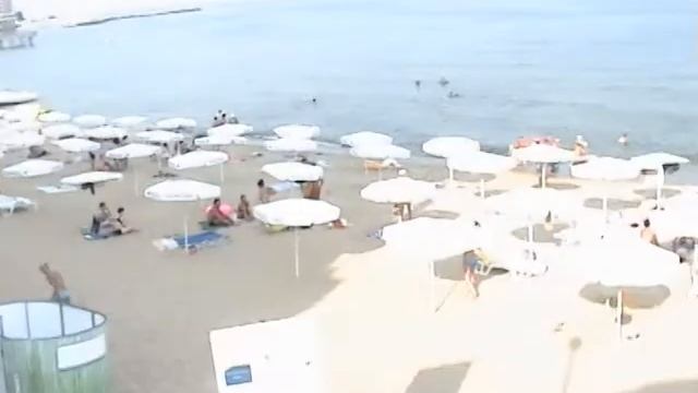 болгарский перец смотреть онлайн