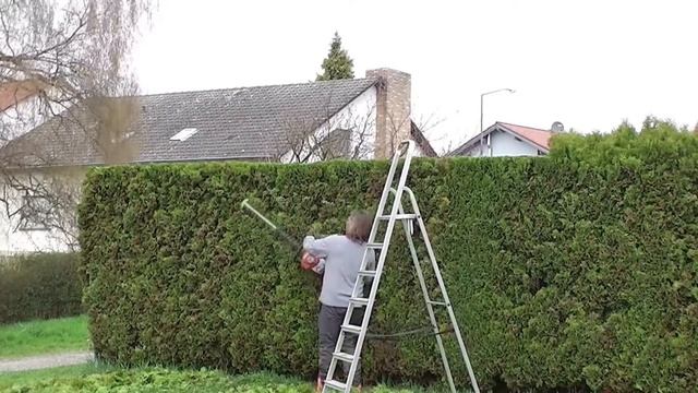Thujaheckenschnitt смотреть онлайн