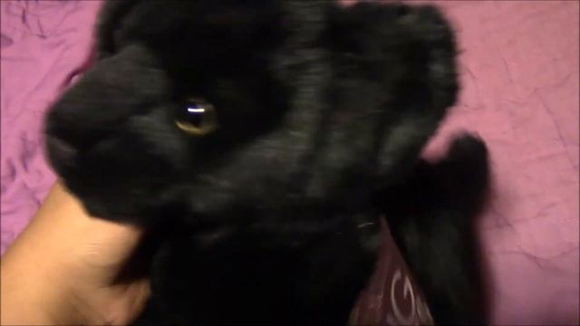 Black Panther Plush Package