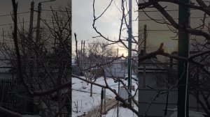 Аксиальный ветрогенератор.