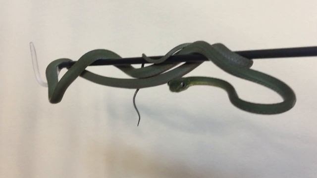 Hamboiga intro смотреть онлайн