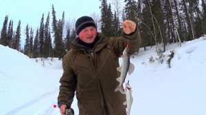 вот это да.хариус дуплетом.тут этой рыбы тьма..