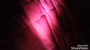 мультик чужой