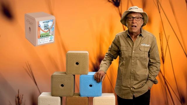 WinSalt Aniseed Mineral Lick Block смотреть онлайн