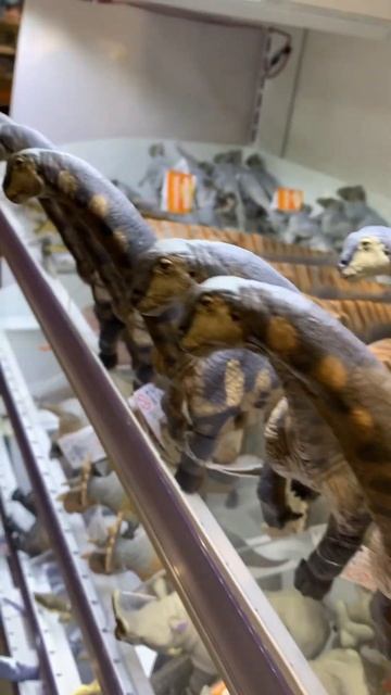 Tiny Dinosaurs 🦖🦕 World смотреть онлайн