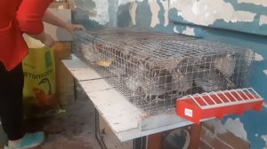 поддон для помёта сделали