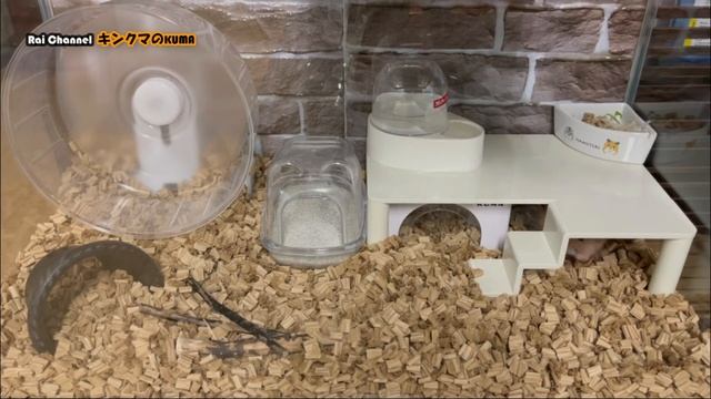 ハムスターロフト【ハムロフト30】ハムスターケージ（キンクマケージ）ハムスターケージ紹介_ゴールデンハムスターケージ