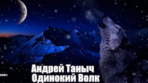 897. Андрей Таныч - Одинокий Волк. НОВИНКИ ШАНСОНА.